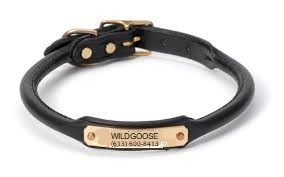 Leather Roll Collar